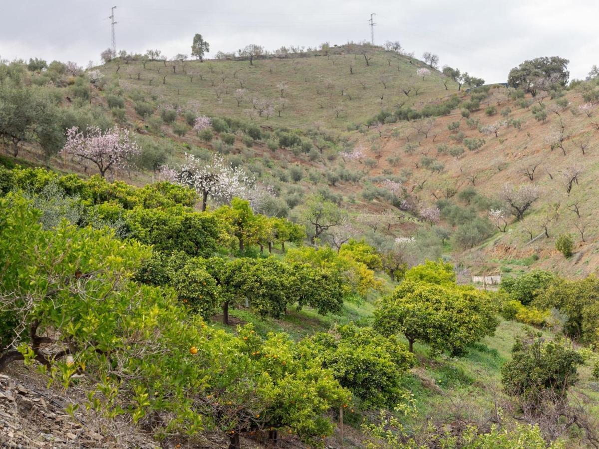 Alojamiento Rural Casa La Era Almogía Exteriér fotografie